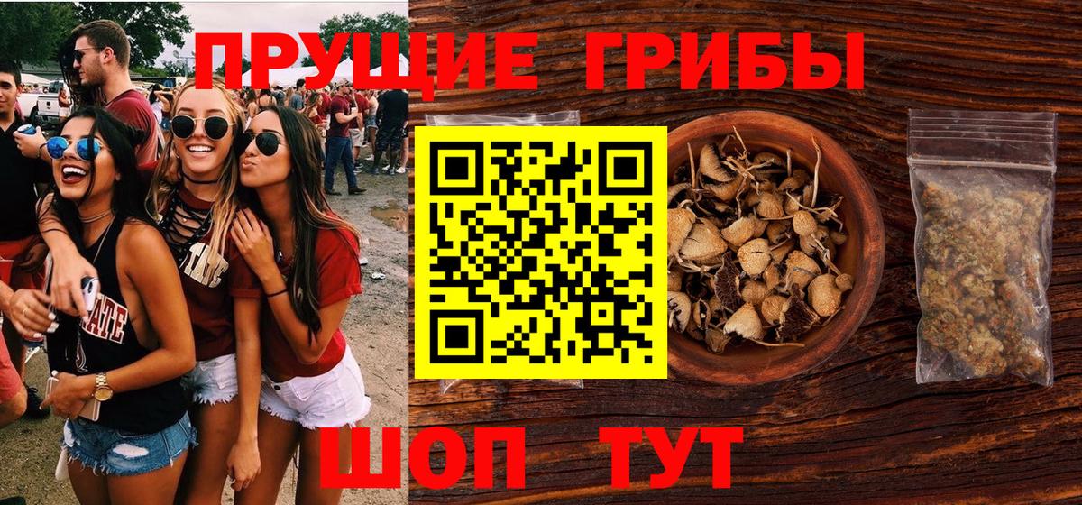 Галлюциногенные грибы Psilocybe  Вход с VPN  магазин продажи наркотиков  Елизово 