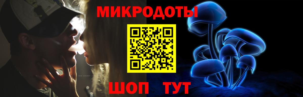 Галлюциногенные грибы Psilocybe Елизово