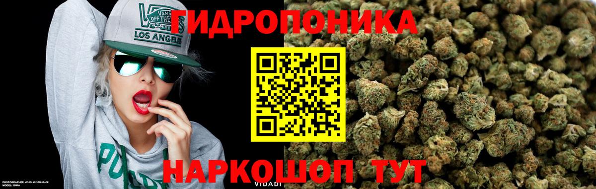 Каннабис MAZAR Елизово